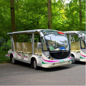 無(wú)人觀光車(chē).png